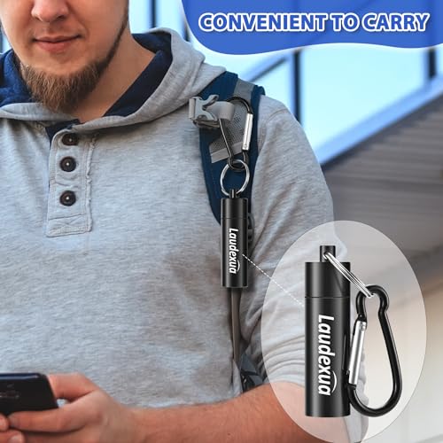 Laudexua High Fidelity Concert Ear Plugs, 2 Pairs Ear Protection ...