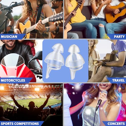 Laudexua High Fidelity Concert Ear Plugs, 2 Pairs Ear Protection ...