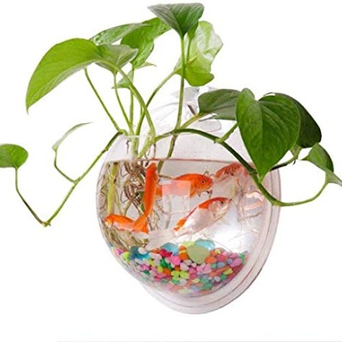 Wall Fish Bubble Hanging Glass Terrarium Container Flower Vase fo...