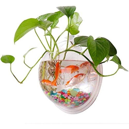 Wall Fish Bubble Hanging Glass Terrarium Container Flower Vase fo...