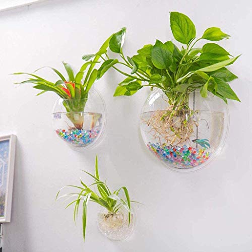 Wall Fish Bubble Hanging Glass Terrarium Container Flower Vase fo...
