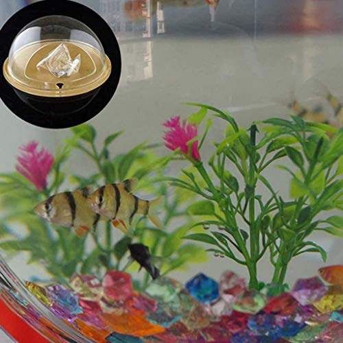 Wall Fish Bubble Hanging Glass Terrarium Container Flower Vase fo...