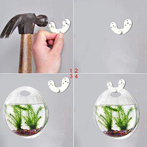 Wall Fish Bubble Hanging Glass Terrarium Container Flower Vase fo...