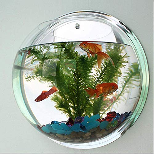 Wall Fish Bubble Hanging Glass Terrarium Container Flower Vase fo...