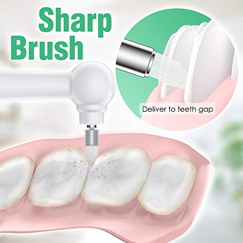 Life Basis Electric Tooth Polisher, Household Dental Tartar Calcu...