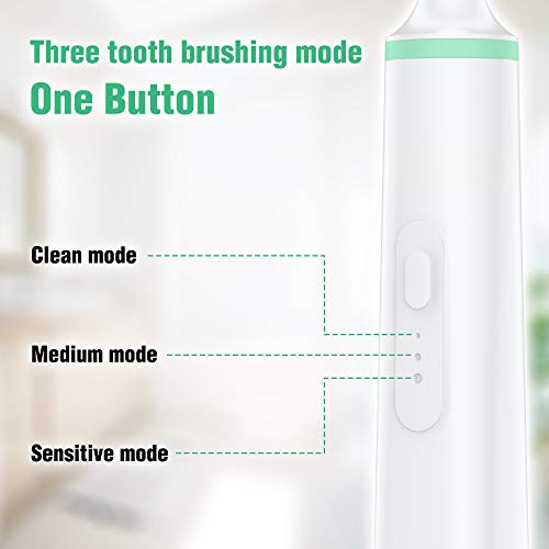 Life Basis Electric Tooth Polisher, Household Dental Tartar Calcu...