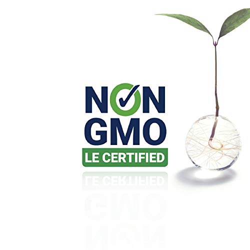 Life Extension L-Glutamine 100 Gram Powder