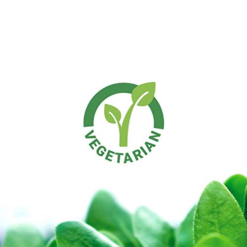 Life Extension Zinc Caps 50 Mg High Potency 90 Vegetarian Capsules