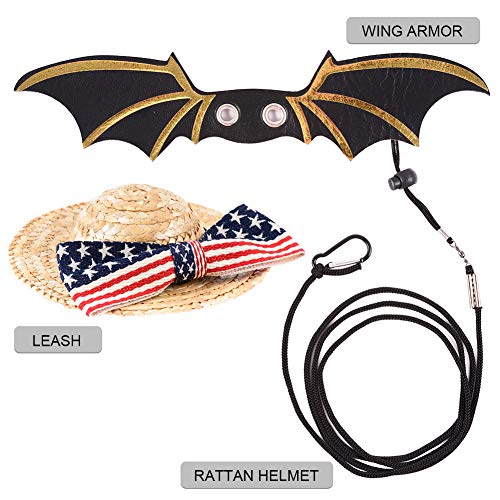 LIKZINWA Bearded Dragon Leash Lizard Harness and Belt Hammock Nat...