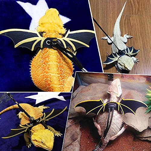 LIKZINWA Bearded Dragon Leash Lizard Harness and Belt Hammock Nat...