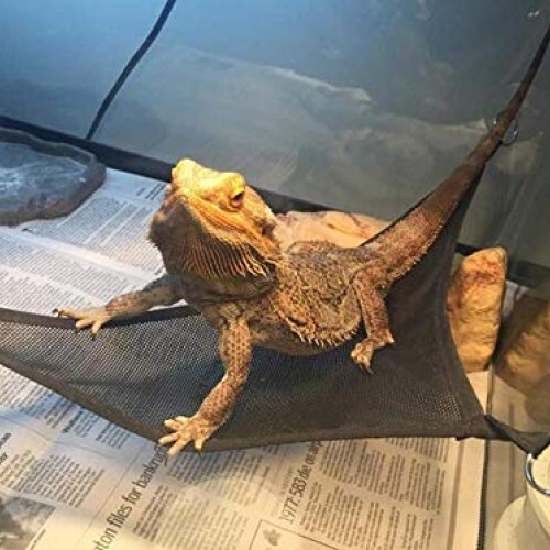 LIKZINWA Bearded Dragon Leash Lizard Harness and Belt Hammock Nat...