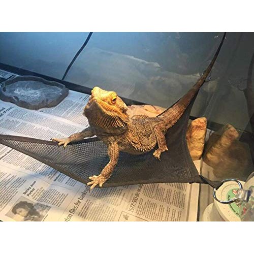 LIKZINWA Bearded Dragon Leash Lizard Harness and Belt Hammock Nat...