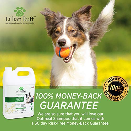 Lillian Ruff Oatmeal Dog Shampoo - Lavender Coconut Scent with Al...