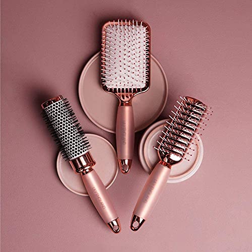 Rose Gold Hair Brush Set - Luxury Professional Hairbrushes Gift f...