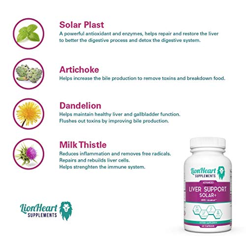 Gallbladder Support Kit - Digestive Enzymes Ox Bile, Probiotics &...