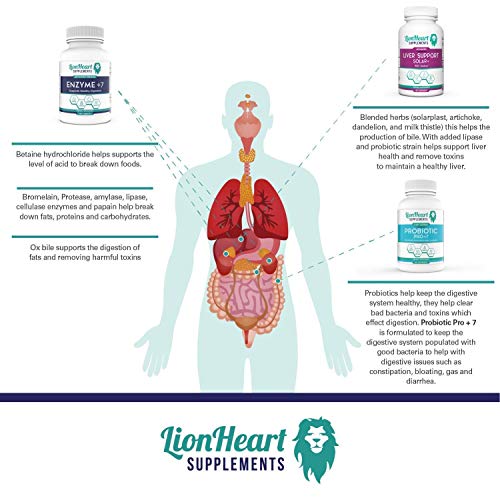 Gallbladder Support Kit - Digestive Enzymes Ox Bile, Probiotics &...