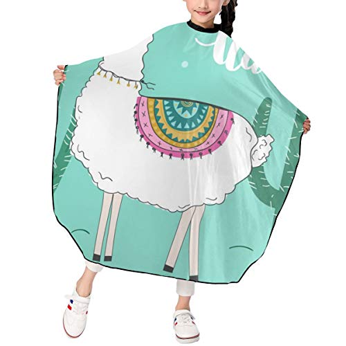 Kids Haircut Barber Salon Cape for Hair Styling, Hair Cutting and...