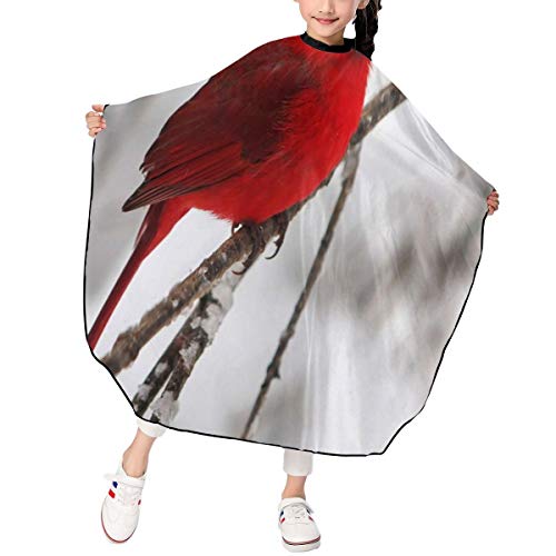 Kids Haircut Barber Salon Cape for Hair Styling, Hair Cutting and...