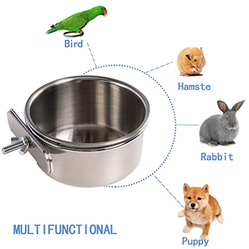 Bird Feeder Bowl,Bird Bowl, Parrot Feeder,Parrot Food Bowl, Bird ...
