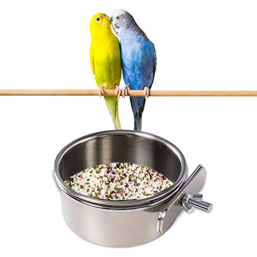 Bird Feeder Bowl,Bird Bowl, Parrot Feeder,Parrot Food Bowl, Bird ...