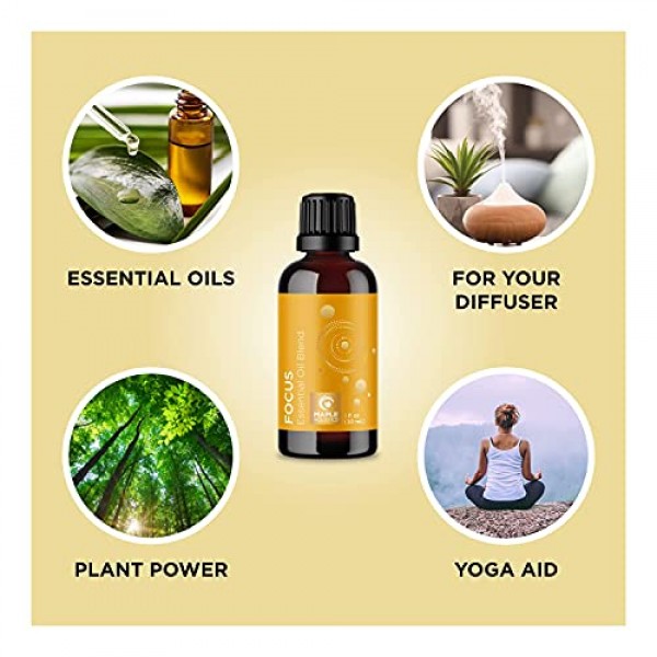 Aromatherapy Essential Oils for Focus Blend - Diffuser Essential ...