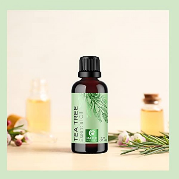 Pure Tea Tree Essential Oil - Pure Tea Tree Oil for Hair Skin and...