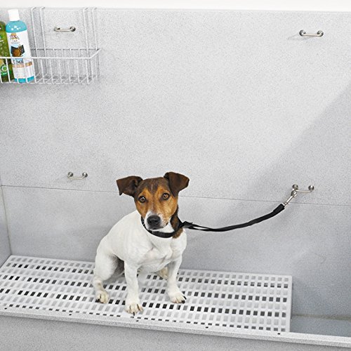 Master Equipment Raised Grooming Tub Rack — Durable, Convenient, ...