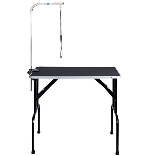 Pet Edge Master Equipment Heavy Duty Grooming Table with Arm – Ea...