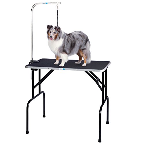 Pet Edge Master Equipment Heavy Duty Grooming Table with Arm – Ea...