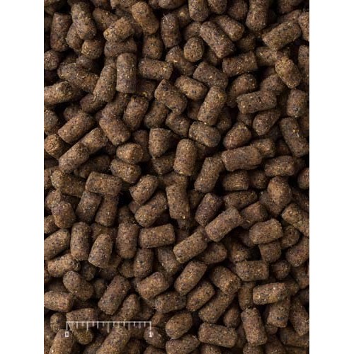 Mazuri Ferret Diet, 5 lb Bag