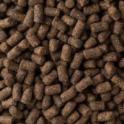 Mazuri Ferret Diet, 5 lb Bag