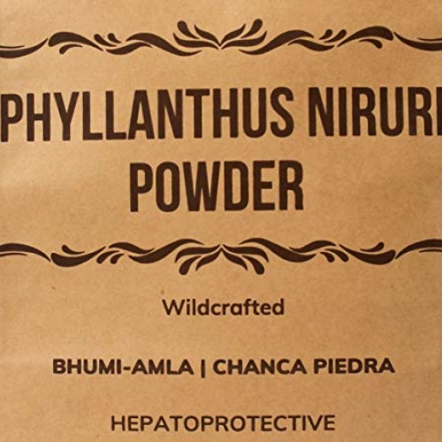 MB Herbals Wildcrafted Phyllanthus Niruri Powder | 100 Grams | Ch...