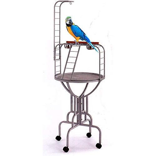 Elegant and Durable Wrought Iron Parrot Bird Play Rolling Stand P...