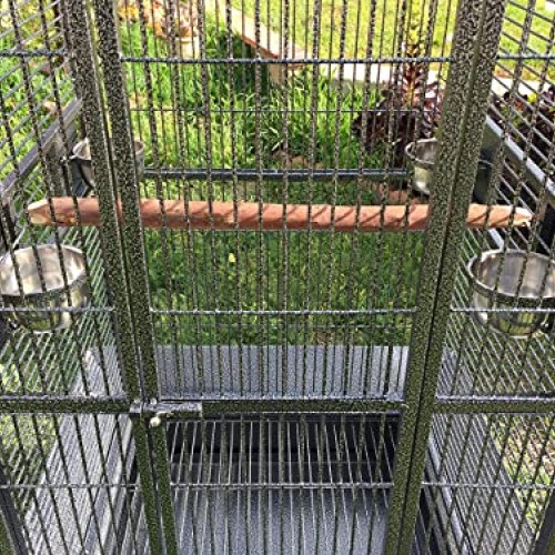 Large Elegant Wrought Iron Open/Close Dome Perch Play Top Stand B...