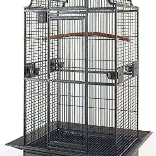 Large Elegant Wrought Iron Open/Close Dome Perch Play Top Stand B...