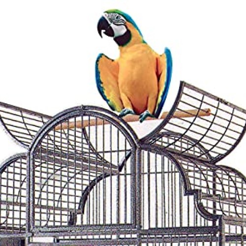 Large Stylish Play Dome Top Durable Wrought Iron Bird Parrot Part...