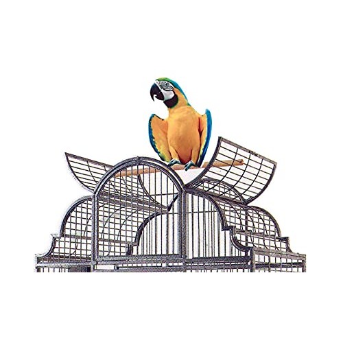 Large Stylish Play Dome Top Durable Wrought Iron Bird Parrot Part...