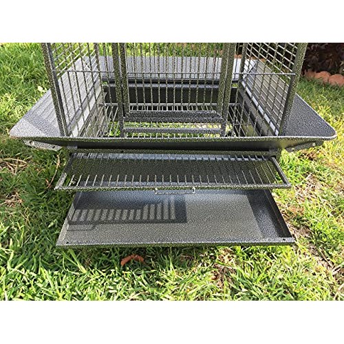 Large Stylish Play Dome Top Durable Wrought Iron Bird Parrot Part...