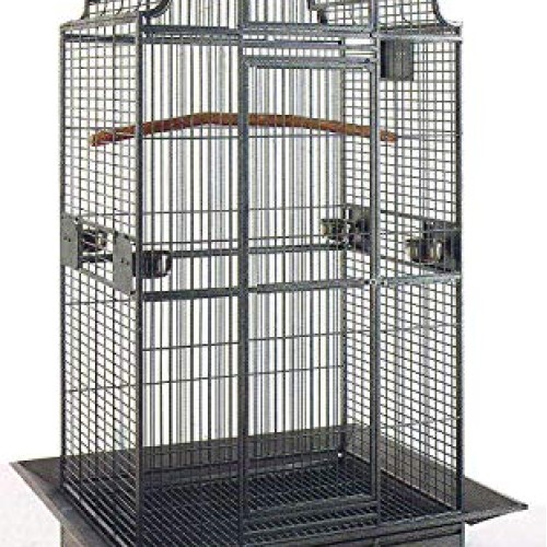 Large Stylish Play Dome Top Durable Wrought Iron Bird Parrot Part...
