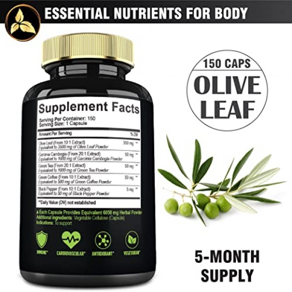 Mecisco Olive Leaf Extract 5 Month Supply 6050mg 5 Herbs with Gar...
