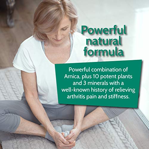 BHI Arthritis Pain Relief Natural, Safe Homeopathic Relief - 100 ...