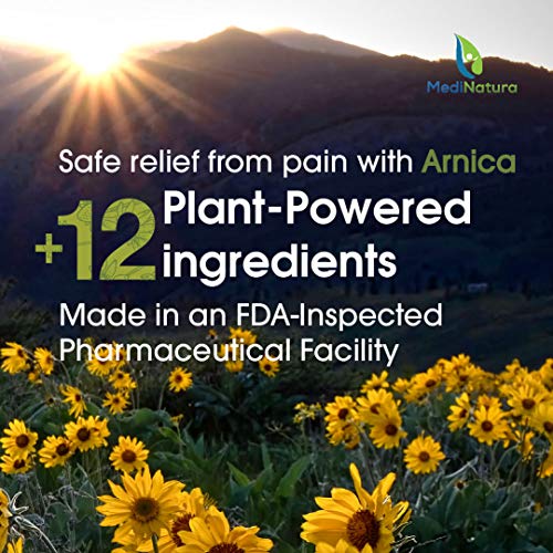 MediNatura T-Relief Arnica +12 Natural Pain Relievers - Plant-Bas...