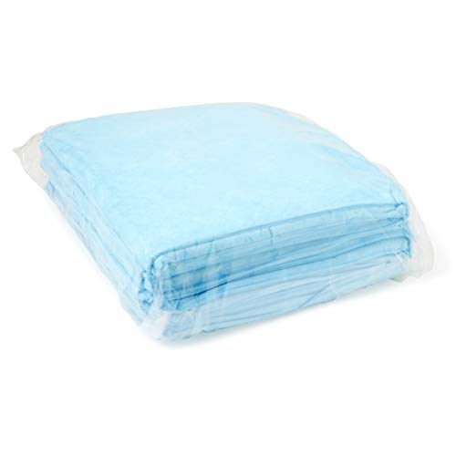 Medline-MSC281229C Quilted Basic Disposable Blue Underpad, 23 x ...