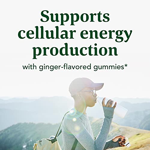 MegaFood, Certified Organic B12 Energy Ginger Gummies, Soft Chew ...