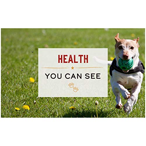 Merrick Limited Ingredient Diet Grain Free Wet Dog Food Real Lamb...