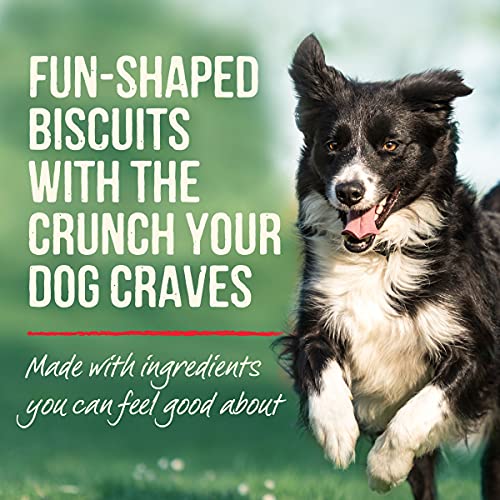 Merrick Oven Baked Dog Treats - Pawsome Peanut Butter with Real ...