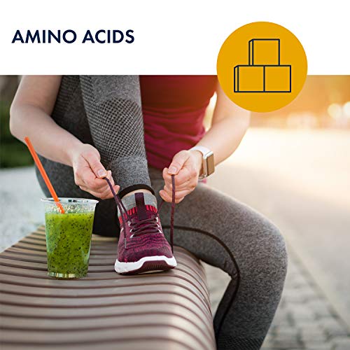 Metabolic Maintenance Acetyl L-Carnitine - Pure 250mg Amino Acid ...
