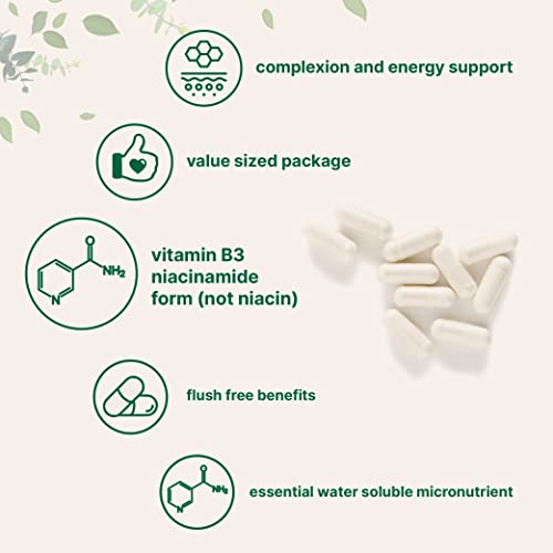 Micro Ingredients Niacinamide Vitamin B3 500mg Per Serving, 400 C...