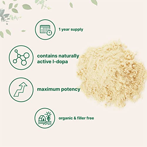 Organic Mucuna Pruriens Extract Powder Contains Natural L Dopa,...