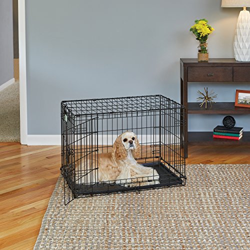 MidWest Homes for Pets Life Stages Double-Door Folding Metal Dog ...